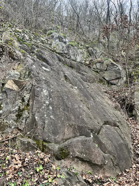 Školka