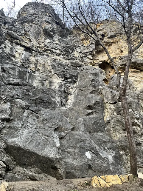Varianta (Naturfreunde)