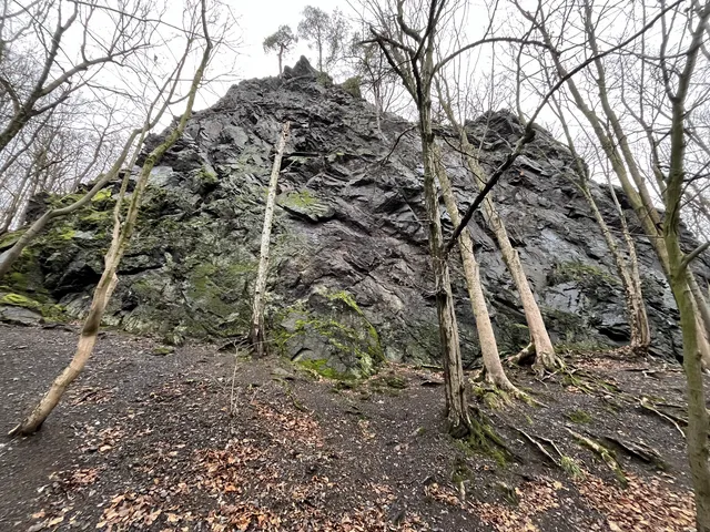 Lockwitzgrund