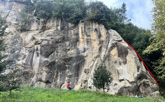 Proa