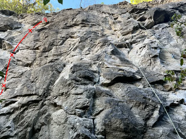Shirský kůň