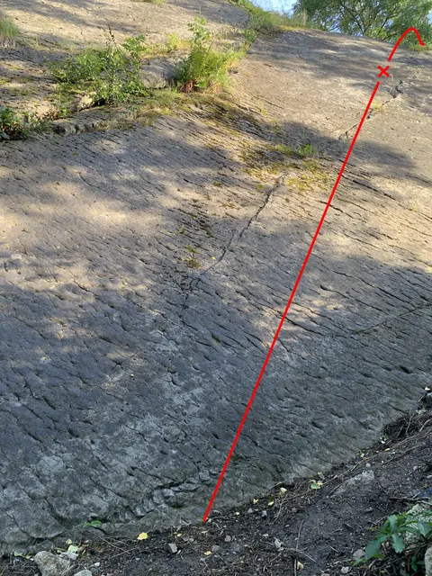 Kocourkovy drápky