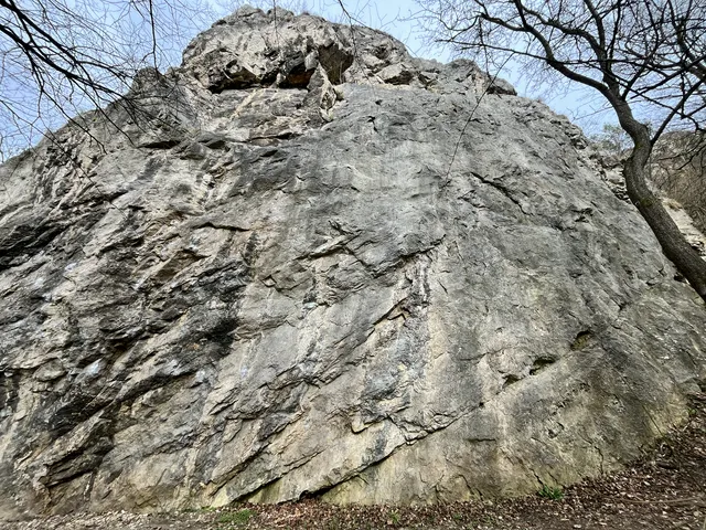 Štítek