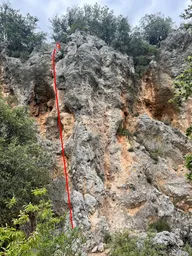 Solero