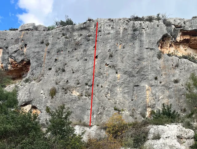 Ziccalu