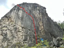 Přeříznutá