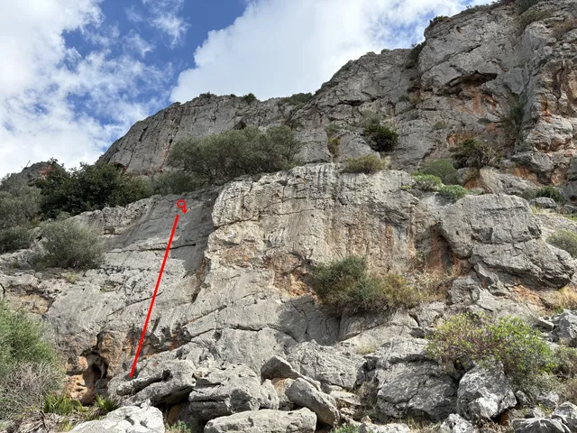 Dopy