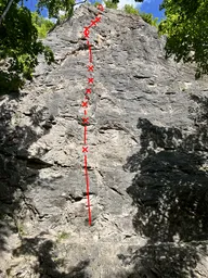 Poklice