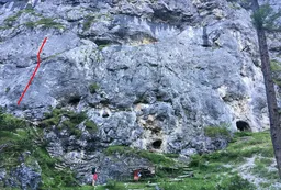 Nibbio