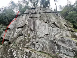 Mamilo púbico