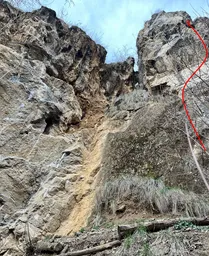 Věž