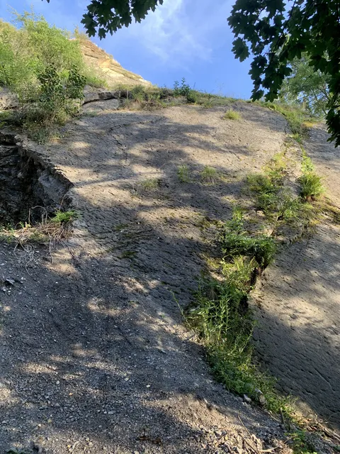 Dolní plotna