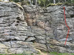 Dobrá treska