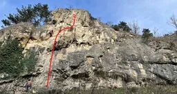 Kamzík