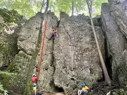 Sportkreisel