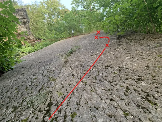 Růže na skládce