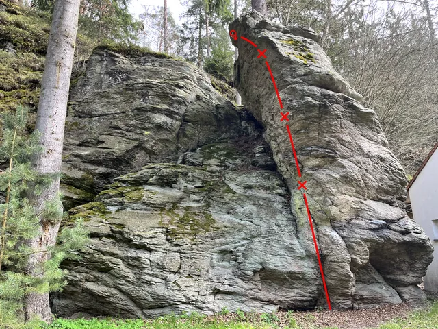 Netopýr