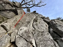 Krtkův sen