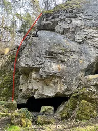 Ořech