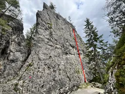 Nizola