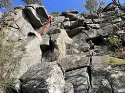 GOGO šou