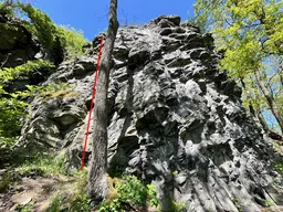 Pórková