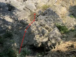 Medvídek