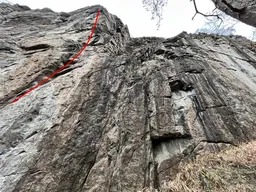 Jáma a kyvadlo dir