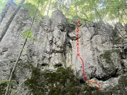 Kralle