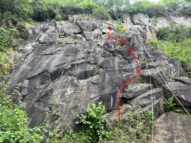 Meruňková