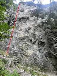 Die kurze