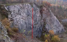 V dobré společnosti