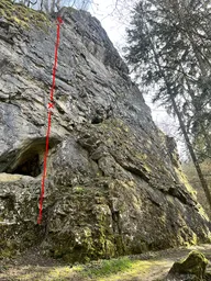 Svatomarťanská husa