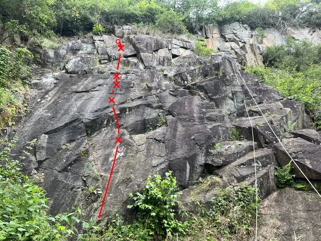 Višňová