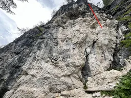 Elettrostatico L2
