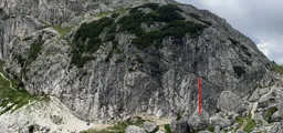 Semi di papavero