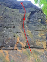 Pavučinka