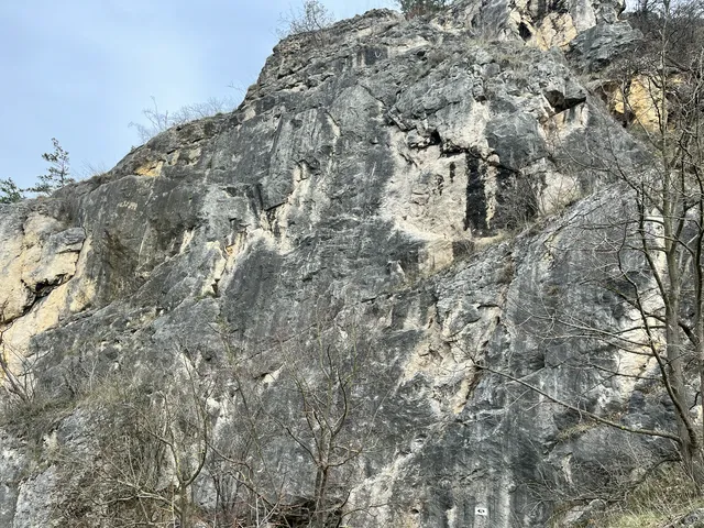 Srbsko