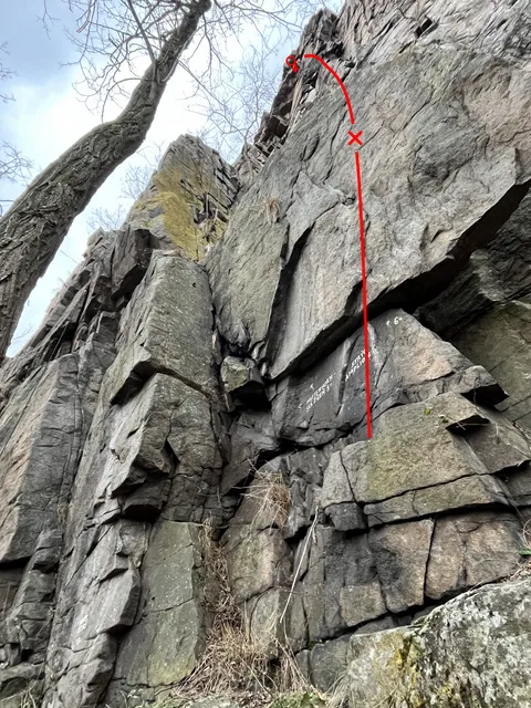 Strýc Amplion