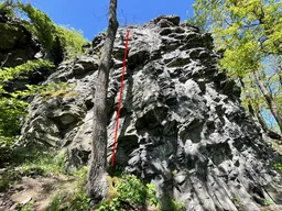 Špenát