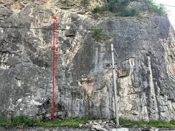 Zogolická