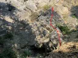 Tygr