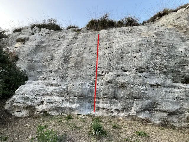 Truffaldon
