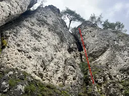Bauchtanz