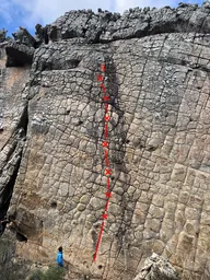 Mosaico