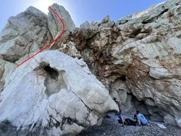 Dent du voleur