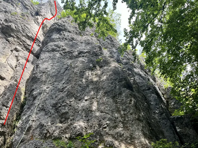 Ausstiegvariante