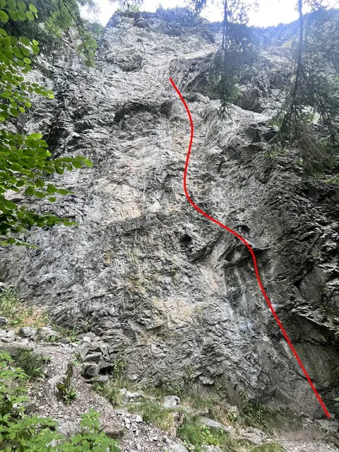 Die Bärige / Geile