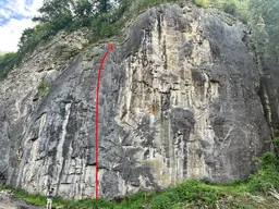 Harpyje