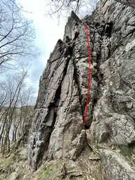 Cesta BSP